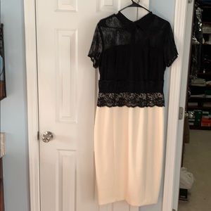 Dress Size 14Tall